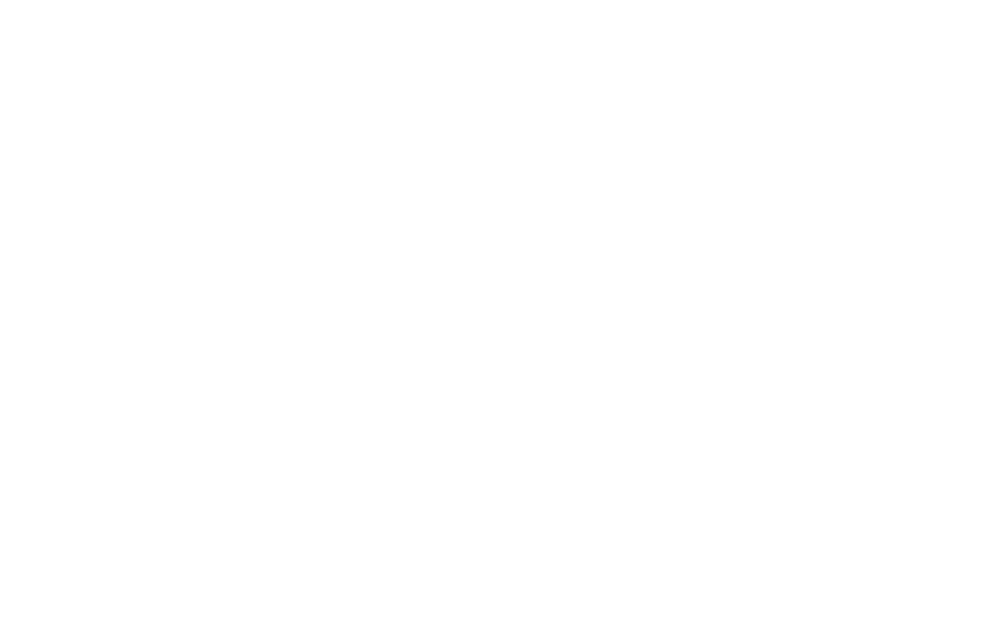 wordpress.alirazapatel.com